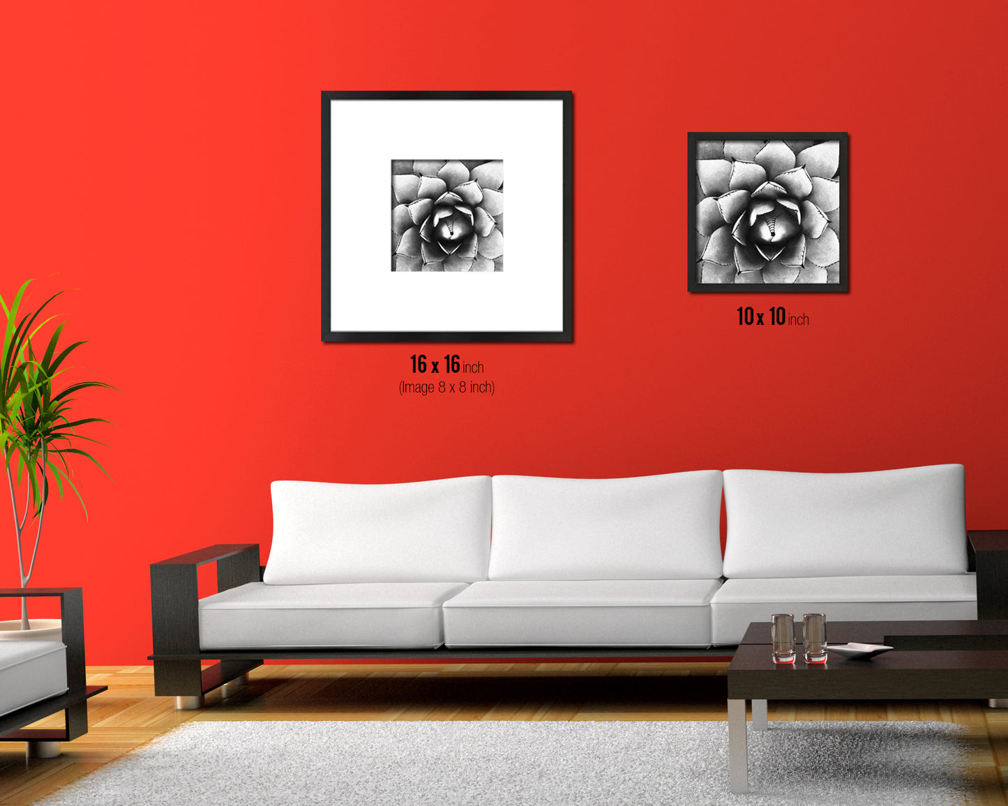 Large Century Plant B &W Succulent Leaves Spiral Plant Wood Framed Print Decor Wall Art Gifts