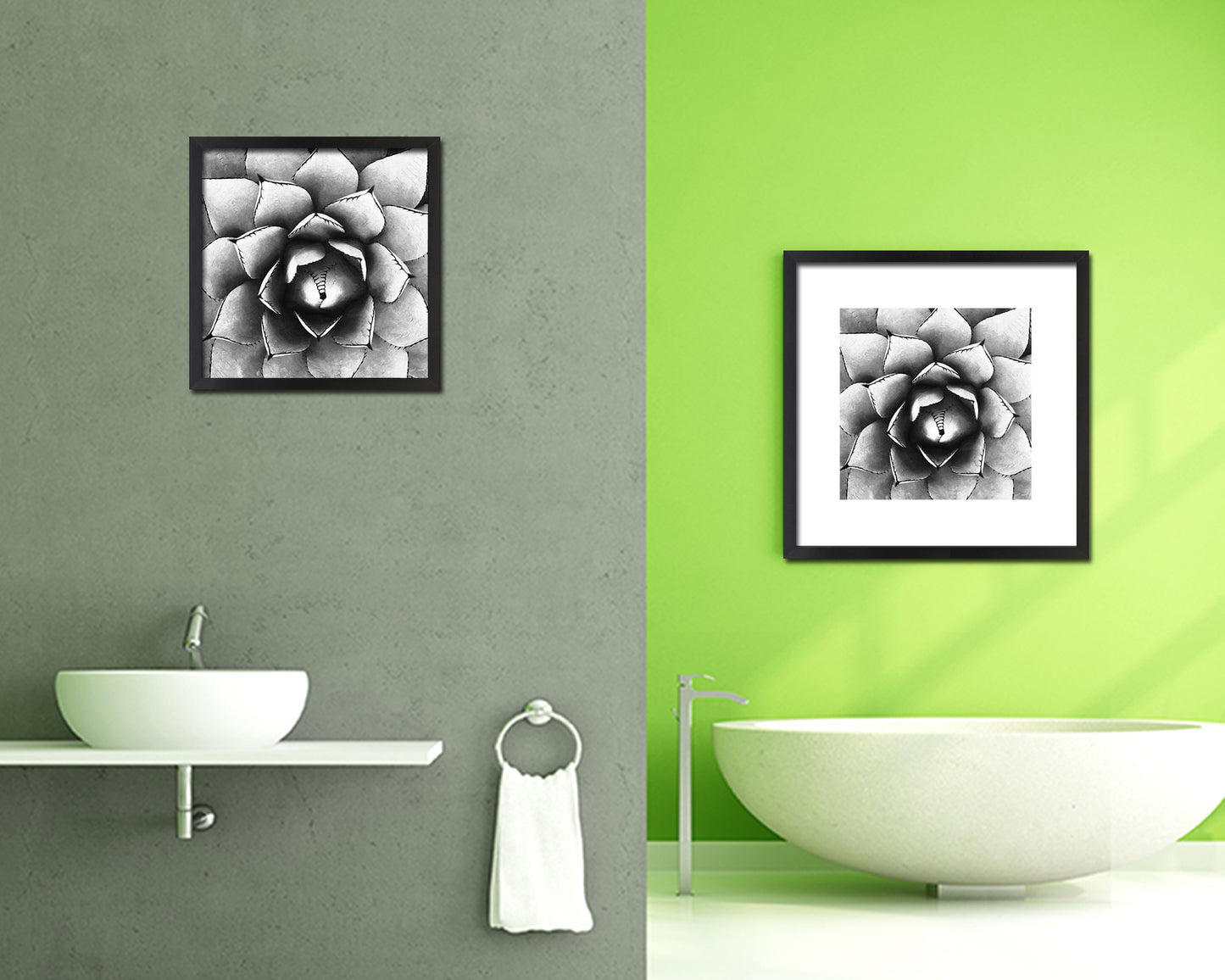 Large Century Plant B &W Succulent Leaves Spiral Plant Wood Framed Print Decor Wall Art Gifts