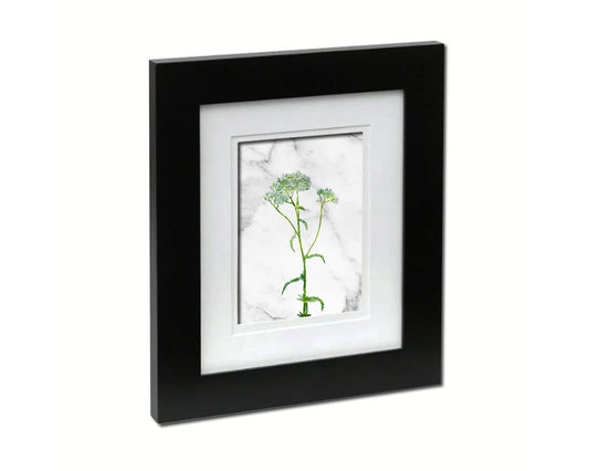 Queen Anne's Lace Marble Texture Plants Art Wood Framed Print Wall Decor Gifts