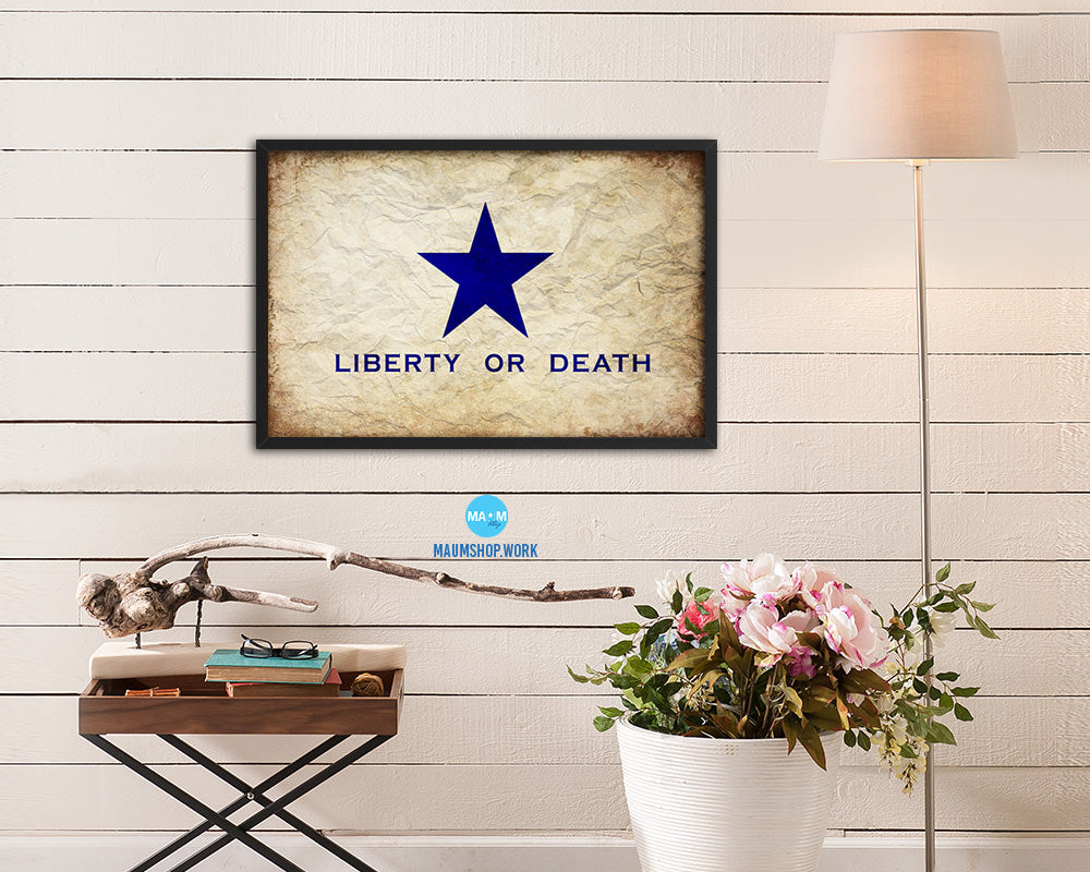 Liberty or Death Goliad Texas Battle Independence Vintage Military Flag Framed Print Art