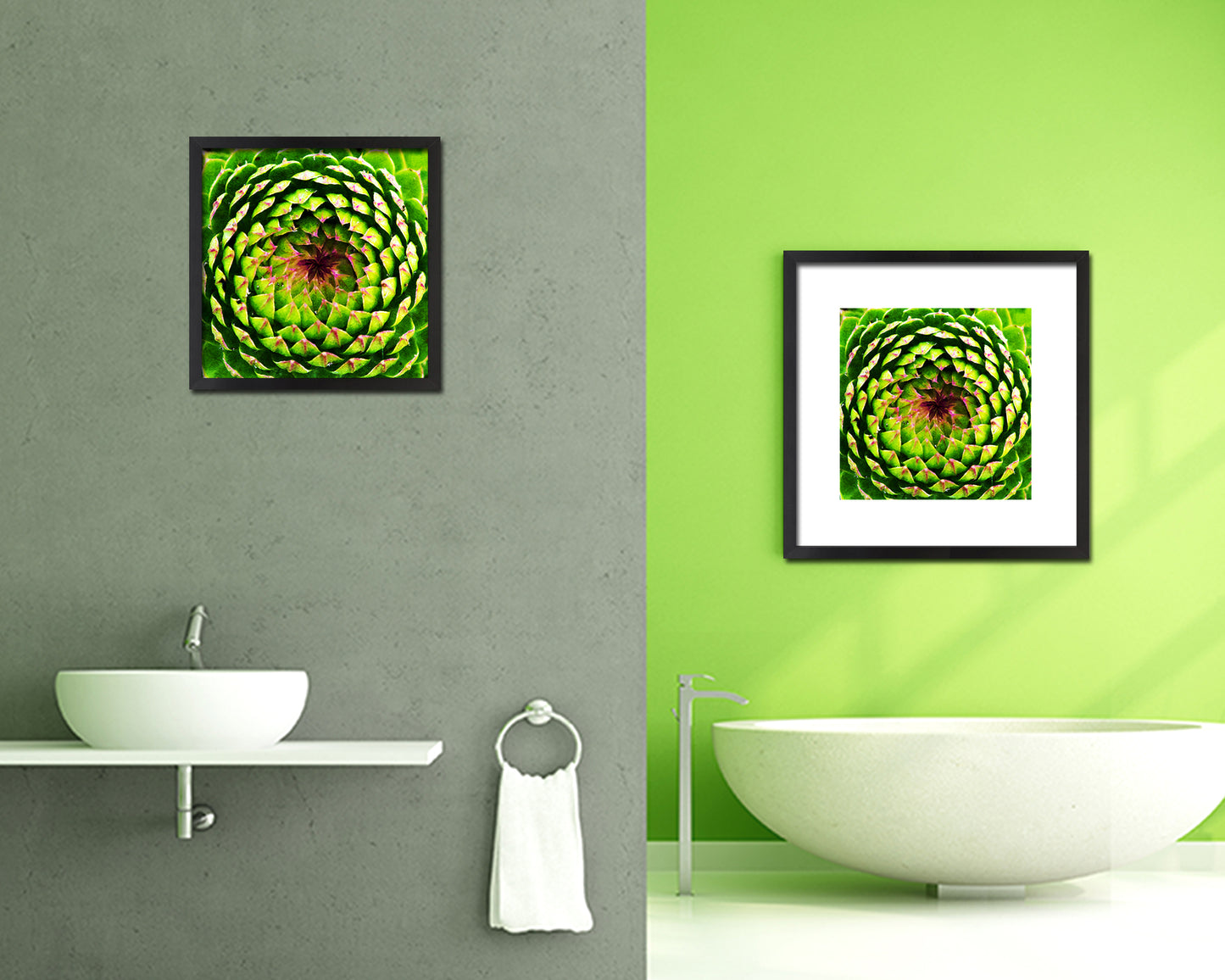 Opening Thistle Evergreen Succulent Leaves Spiral Plant Wood Framed Print Decor Wall Art Gifts