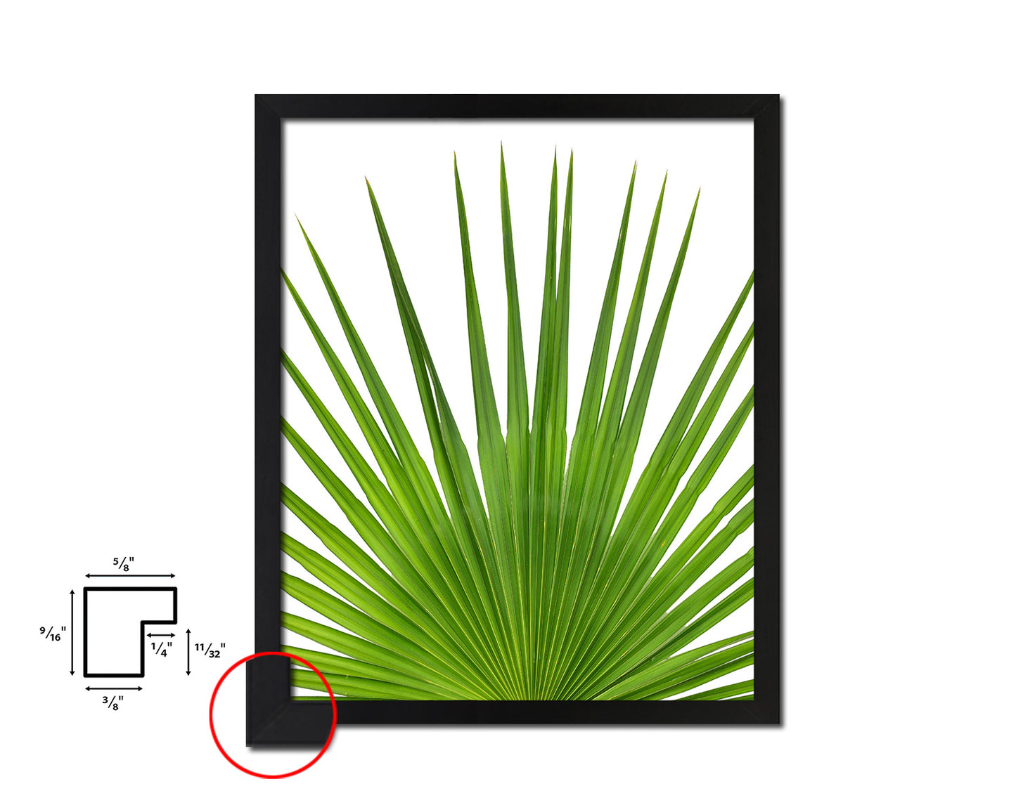 Palm Tropical Leaf Framed Print Sign Decor Wall Art Gifts