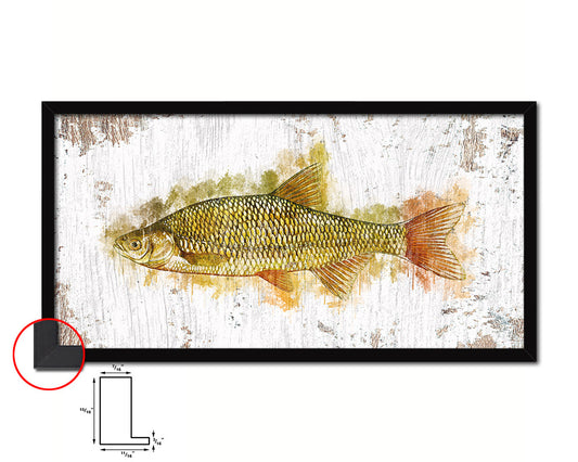 Golden Shiner Fish Art Wood Frame Shabby Chic Restaurant Sushi Wall Decor Gifts, 10" x 20"