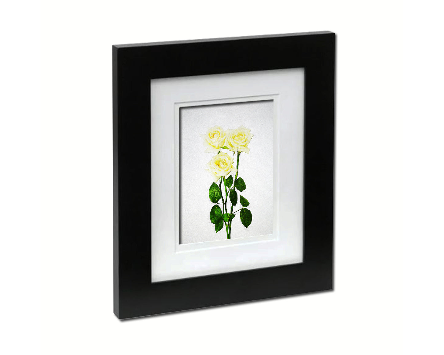 White Rose Sketch Plants Art Wood Framed Print Wall Decor Gifts