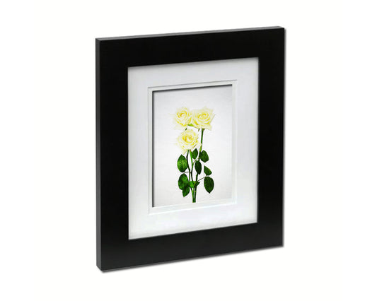 White Rose Sketch Plants Art Wood Framed Print Wall Decor Gifts