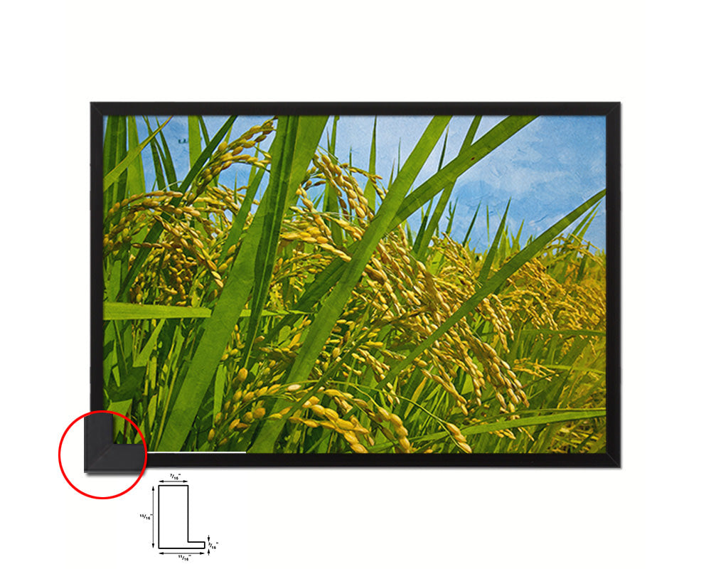 Nutritious Nature Rice Paddy Field Landscape Artwork Framed Painting Print Art Wall Decor Gifts