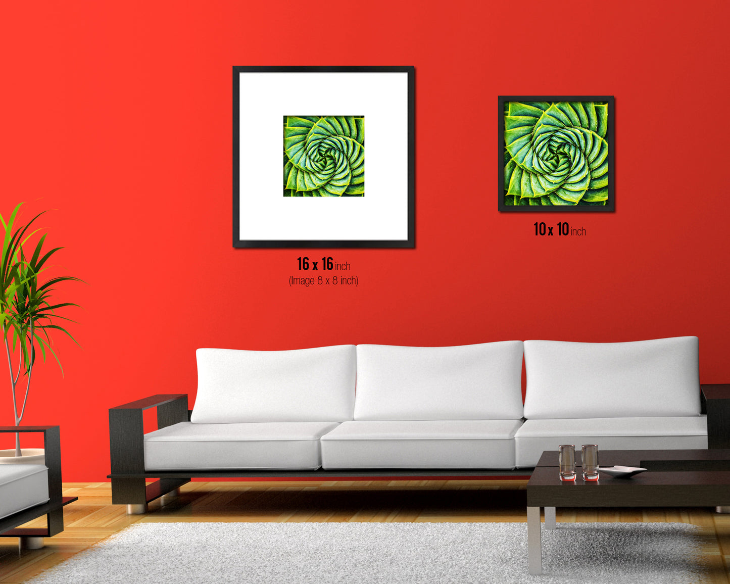 Aloe Succulent Evergreen Leaves Spiral Plant Wood Framed Print Decor Wall Art Gifts