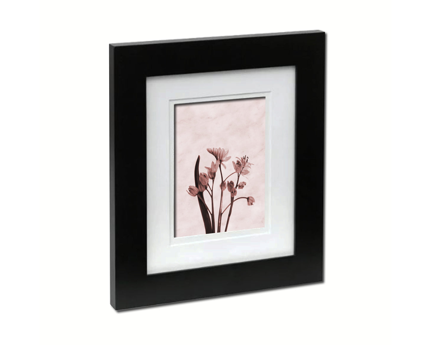 Blue Crocus Spring Sepia Plants Art Wood Framed Print Wall Decor Gifts