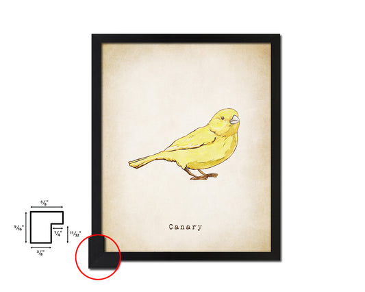 Canary Vintage Bird Fine Art Paper Prints Home Decor Wall Art Gifts