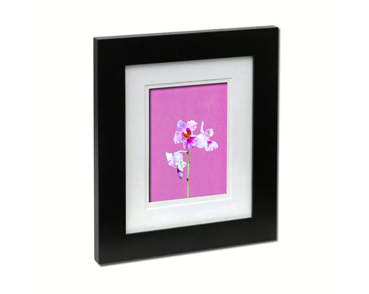 Vanda Miss Joaquim Colorful Plants Art Wood Framed Print Wall Decor Gifts