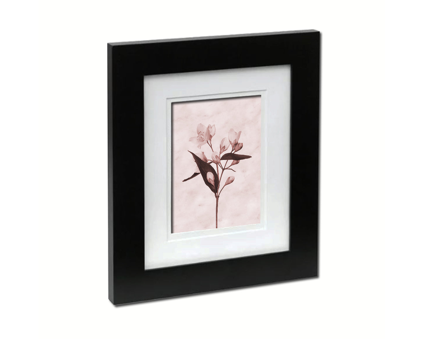 Jasmin Sepia Plants Art Wood Framed Print Wall Decor Gifts