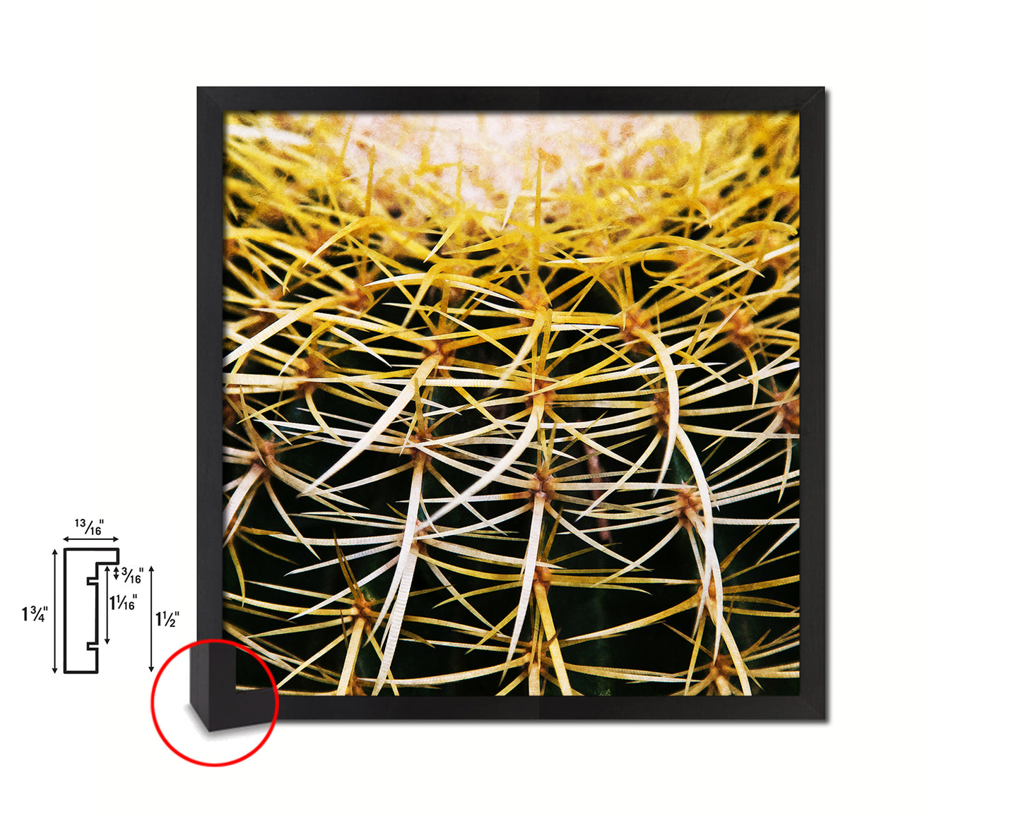 Golden Barrel Cactus Evergreen Succulent Leaves Spiral Plant Wood Framed Print Decor Wall Art Gifts