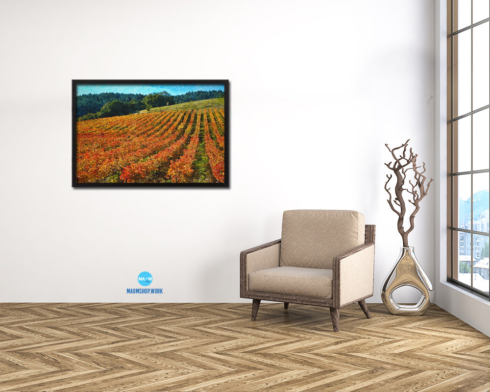 Sonoma, California, Sebastopol, Winery Vineyards Artwork Painting Print Art Frame Wall Decor Gifts