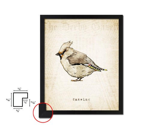 Waxwing Vintage Bird Fine Art Paper Prints Home Decor Wall Art Gifts