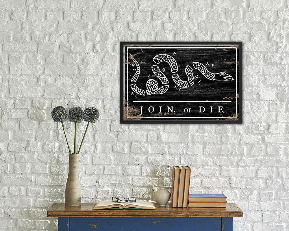 US Join or Die Snake Colonial Revolutionary War Shabby Chic Military Flag Framed Print Art