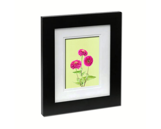 Pink Zinnia Colorful Plants Art Wood Framed Print Wall Decor Gifts