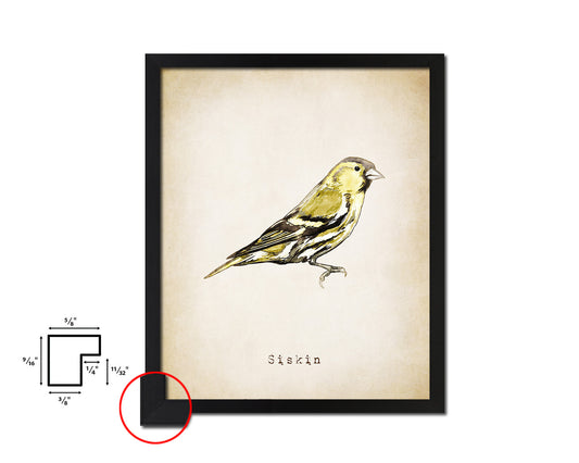 Siskin Vintage Bird Fine Art Paper Prints Home Decor Wall Art Gifts