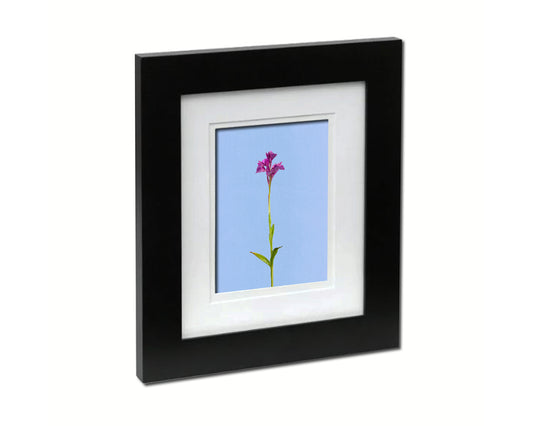 Butterfly Orchid Colorful Plants Art Wood Framed Print Wall Decor Gifts