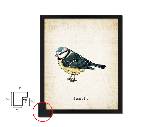 Tomtit Vintage Bird Fine Art Paper Prints Home Decor Wall Art Gifts