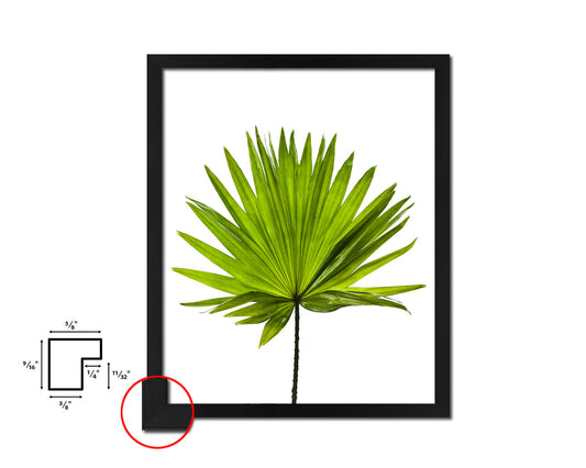 Green Palm Tropical Leaf Framed Print Sign Decor Wall Art Gifts