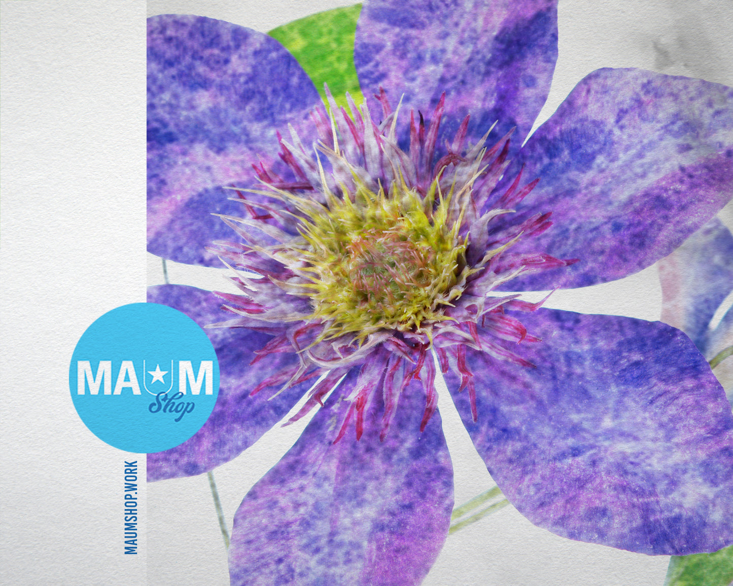 Clematis Marble Texture Plants Art Wood Framed Print Wall Decor Gifts