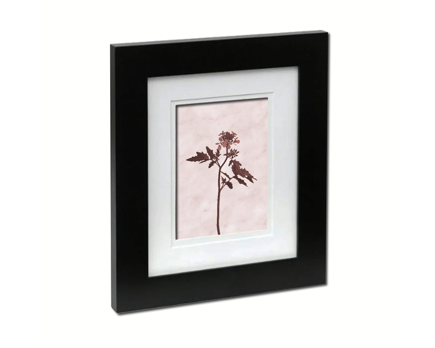 White Mustard Sepia Plants Art Wood Framed Print Wall Decor Gifts