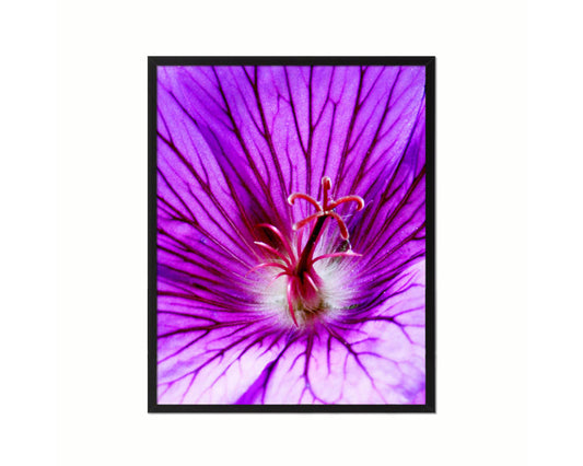 Cranesbill Geranium Purple Flower Wood Framed Paper Print Wall Decor Art Gifts