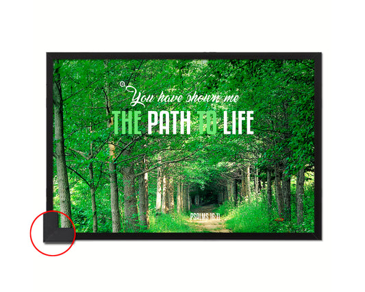 You have shown me the path to life, Psalm 16:11 Bible Verse Scripture Framed Art