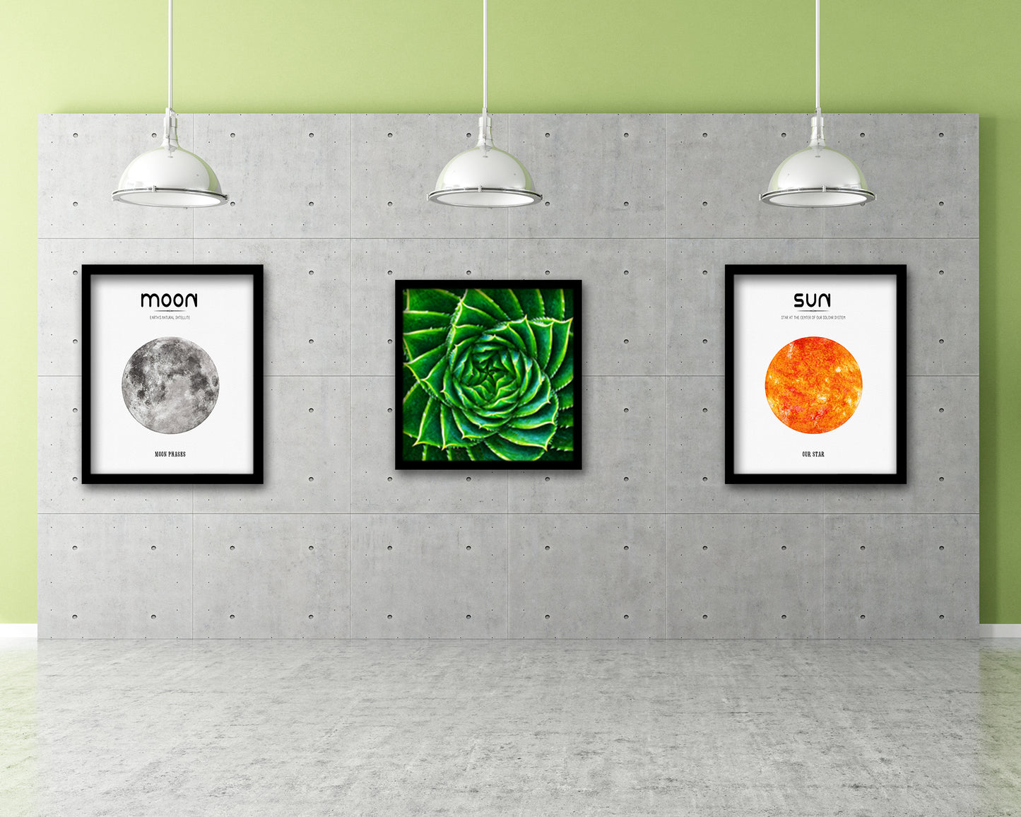 Spiral Leaves Plants Evergreen Succulent Leaves Spiral Plant Wood Framed Print Decor Wall Art Gifts