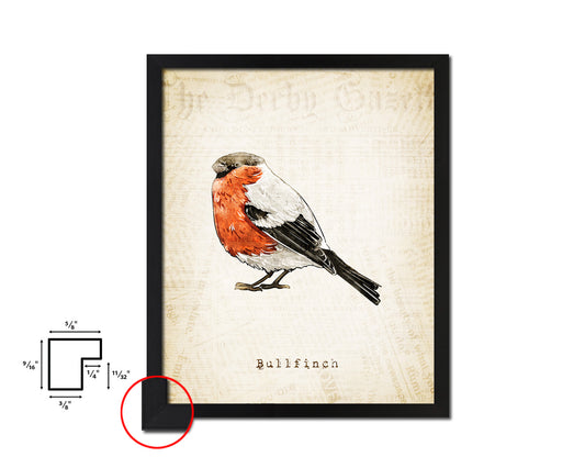 Bullfinch Vintage Bird Fine Art Paper Prints Home Decor Wall Art Gifts