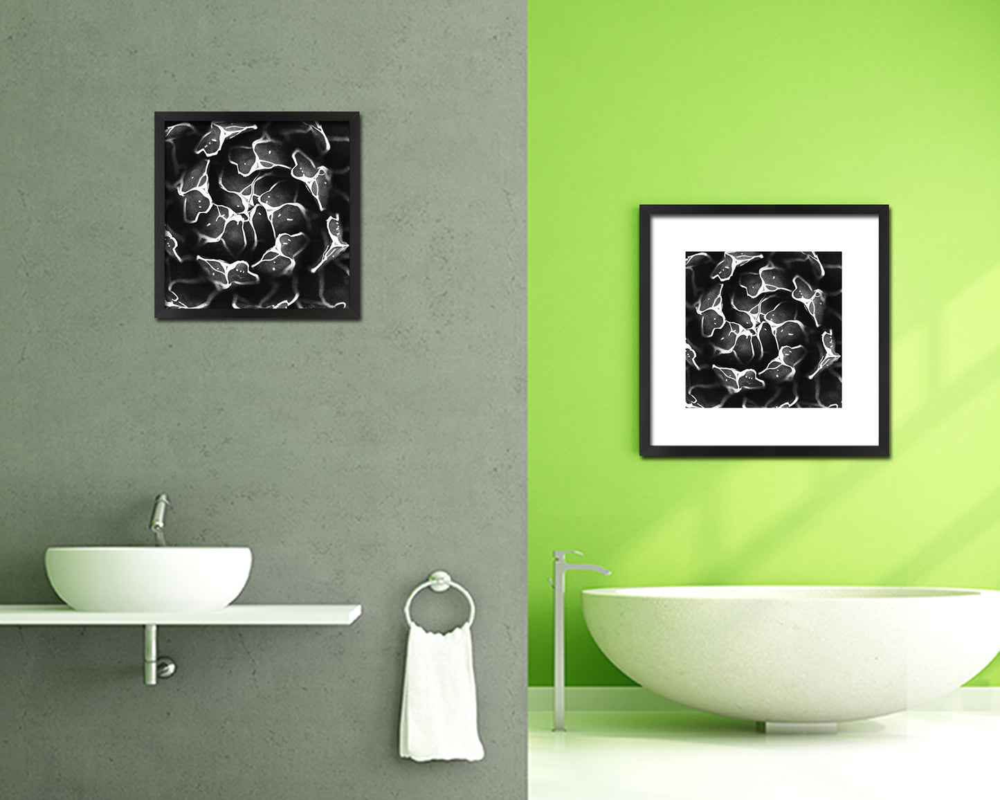 Queen Victoria Agave B &W Succulent Leaves Spiral Plant Wood Framed Print Decor Wall Art Gifts