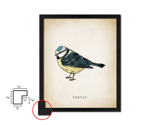 Tomtit Vintage Bird Fine Art Paper Prints Home Decor Wall Art Gifts