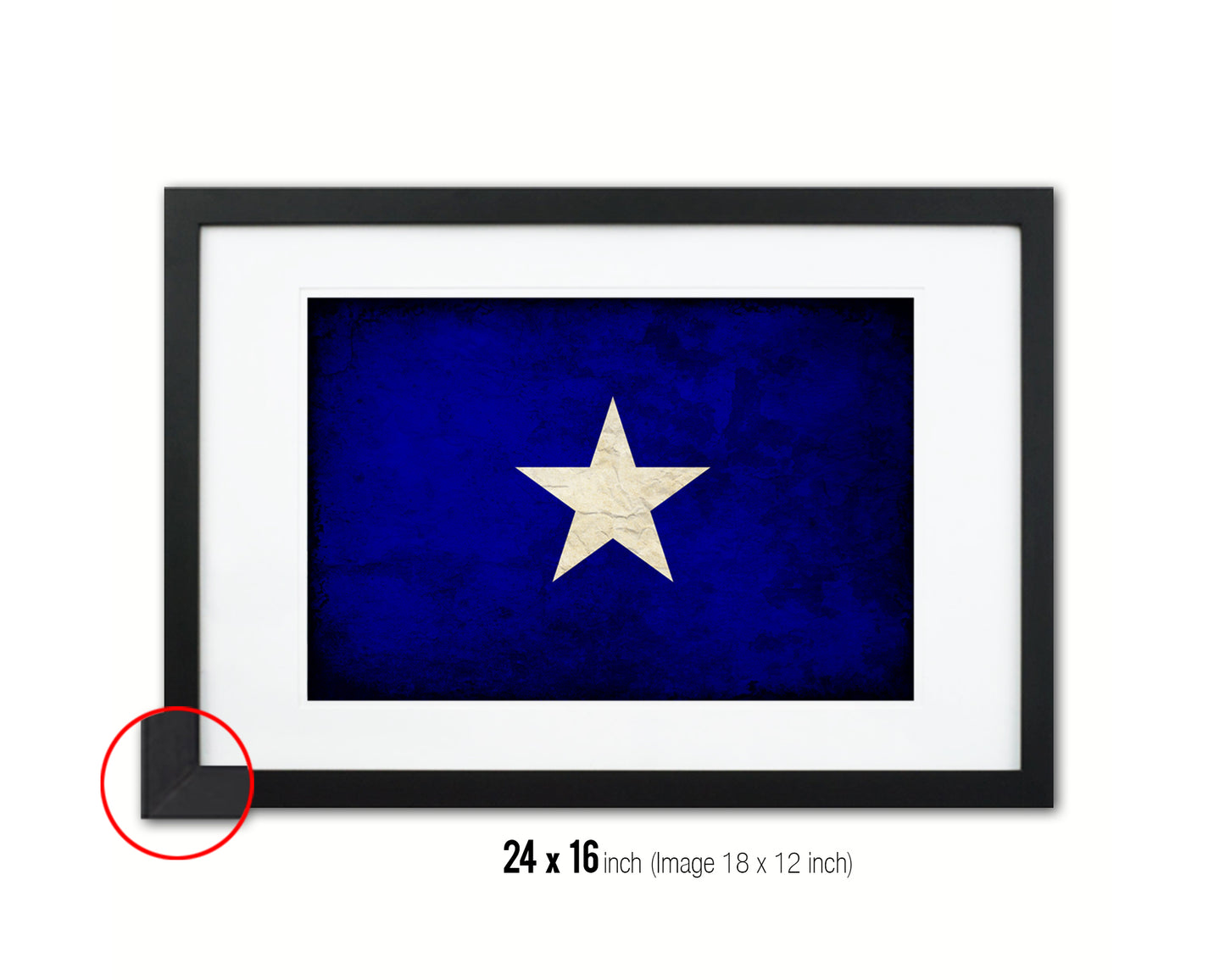 Bonnie Blue in Republic of West Florida Vintage Military Flag Framed Print Art