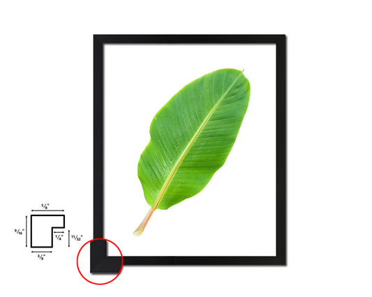 Banana Tropical Leaf Framed Print Sign Decor Wall Art Gifts