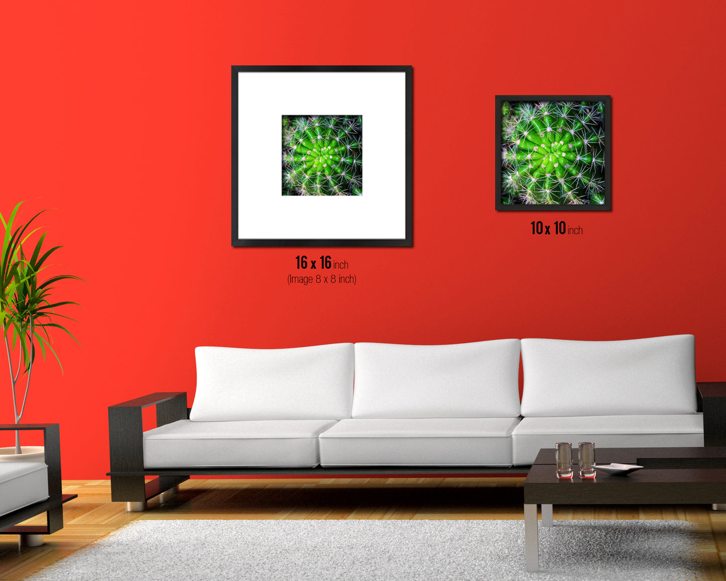 Barrel Cactus Evergreen Succulent Leaves Spiral Plant Wood Framed Print Decor Wall Art Gifts