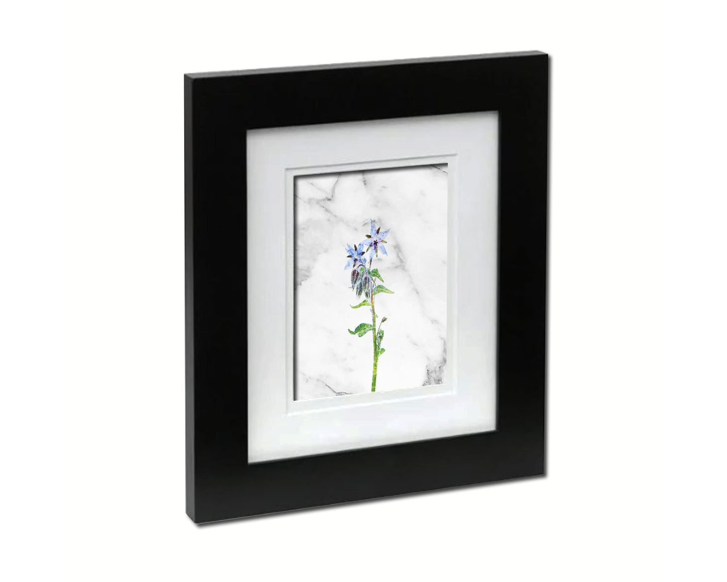 Borage Starflower Borago Officinalis Marble Texture Plants Art Wood Framed Print Wall Decor Gifts