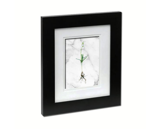 Snowdrop Galanthus Nivalis Marble Texture Plants Art Wood Framed Print Wall Decor Gifts