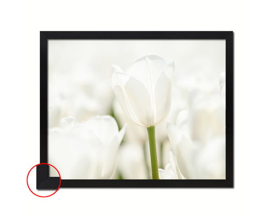 Tulips White Flower Wood Framed Paper Print Wall Decor Art Gifts