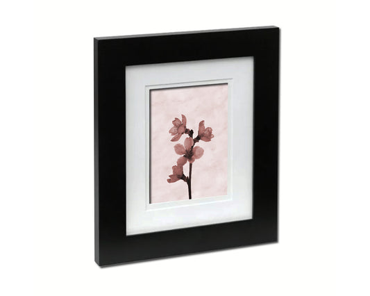 Cherry Blossoms Tree Sepia Plants Art Wood Framed Print Wall Decor Gifts