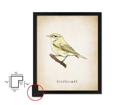 Chiffchaff Vintage Bird Fine Art Paper Prints Home Decor Wall Art Gifts