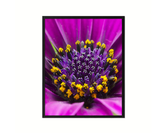 Gazania Purple Flower Wood Framed Paper Print Wall Decor Art Gifts