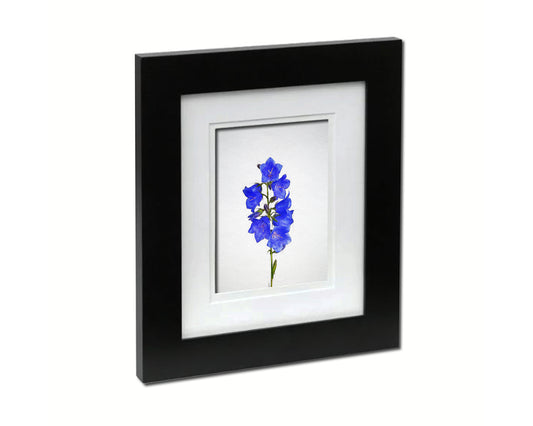 Bellflowers Sketch Plants Art Wood Framed Print Wall Decor Gifts