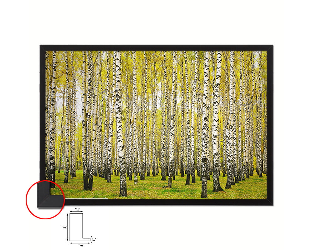 Birch Grove Trees Autumn Landscape Painting Print Art Frame Home Wall Decor Gifts