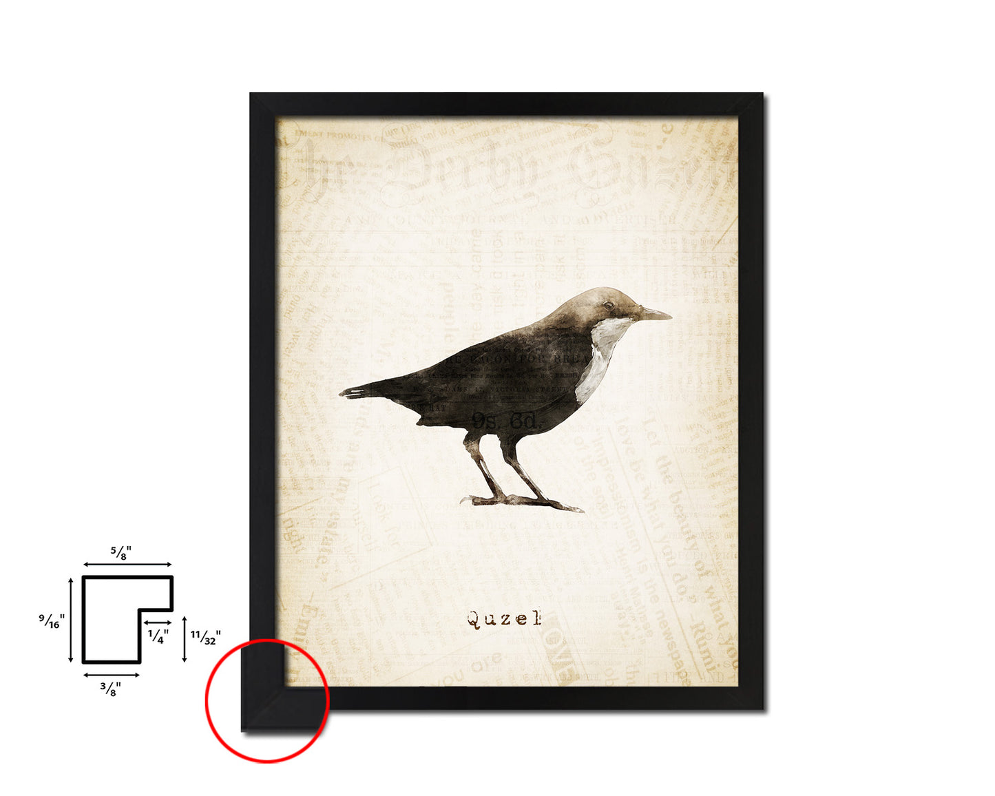 Quzel Vintage Bird Fine Art Paper Prints Home Decor Wall Art Gifts