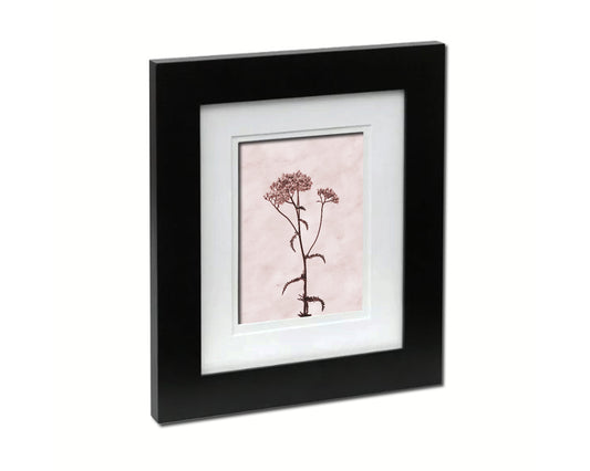 Queen Anne's Lace Sepia Plants Art Wood Framed Print Wall Decor Gifts