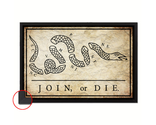 US Join or Die Snake Colonial Revolutionary War Vintage Military Flag Framed Print Art