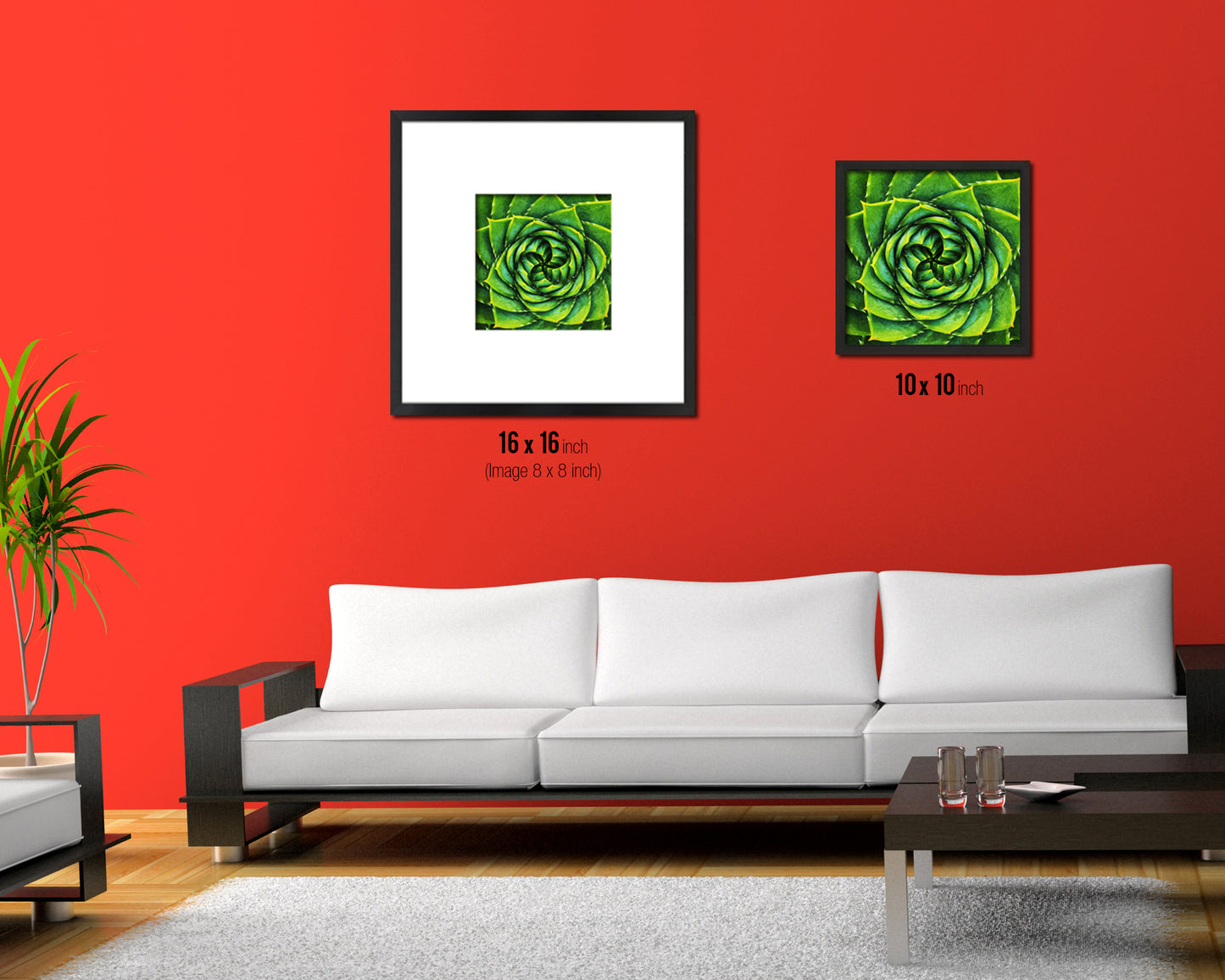 Aloe Succulent African Evergreen Leaves Spiral Plant Wood Framed Print Decor Wall Art Gifts