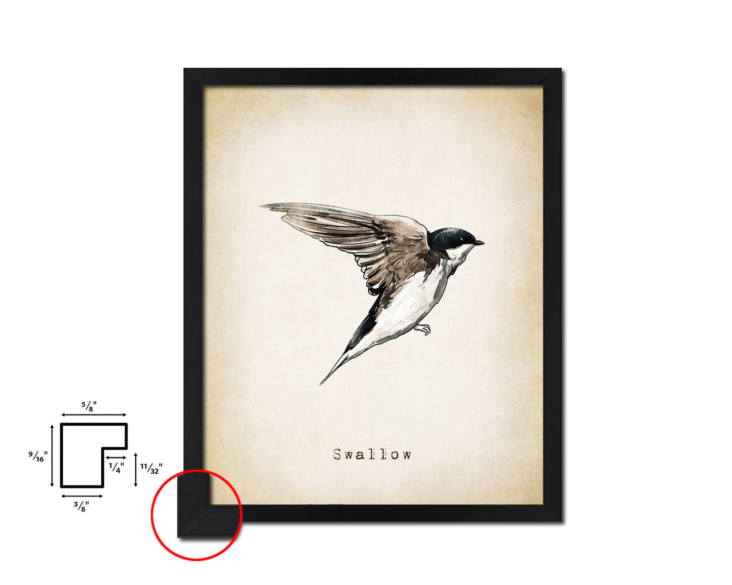 Swallow Vintage Bird Fine Art Paper Prints Home Decor Wall Art Gifts