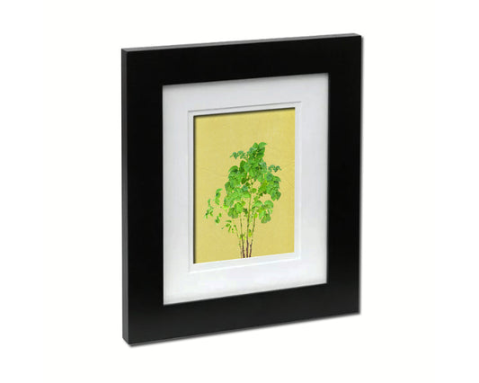 Potato Leaves Colorful Plants Art Wood Framed Print Wall Decor Gifts