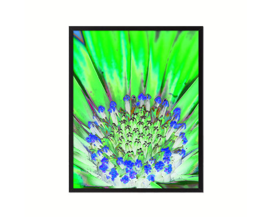 Gazania Green Flower Wood Framed Paper Print Wall Decor Art Gifts